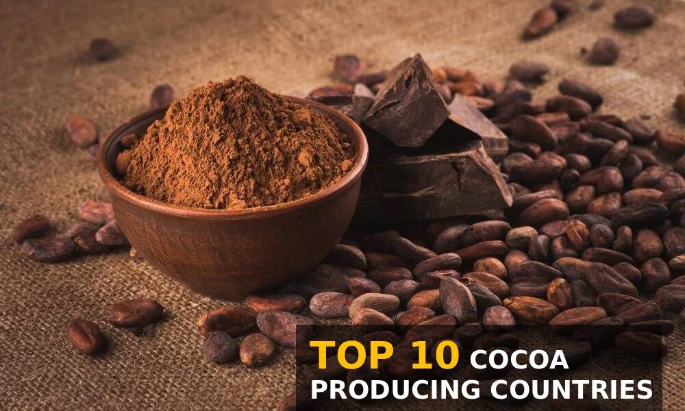 cocoa producing countries